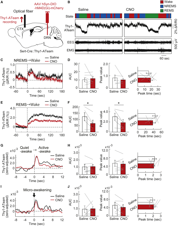 Figure 6