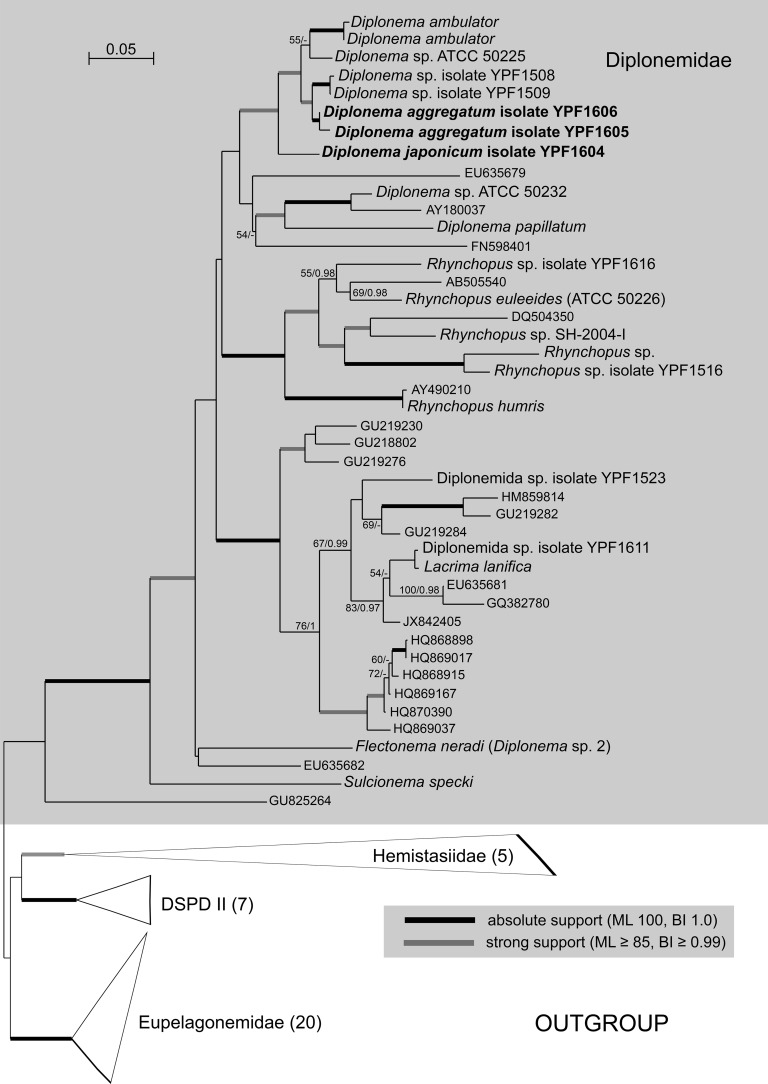 FIG 1 