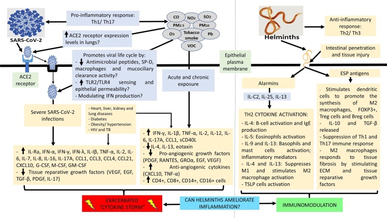 Fig. 2