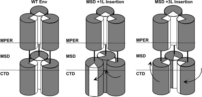 FIG 1