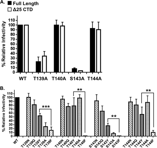 FIG 6