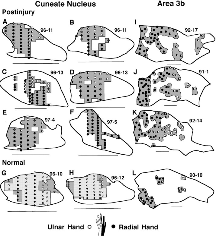 Fig. 8.