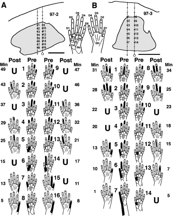 Fig. 1.