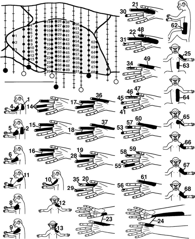 Fig. 2.