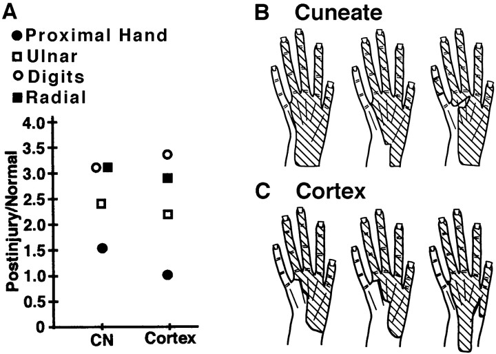 Fig. 6.