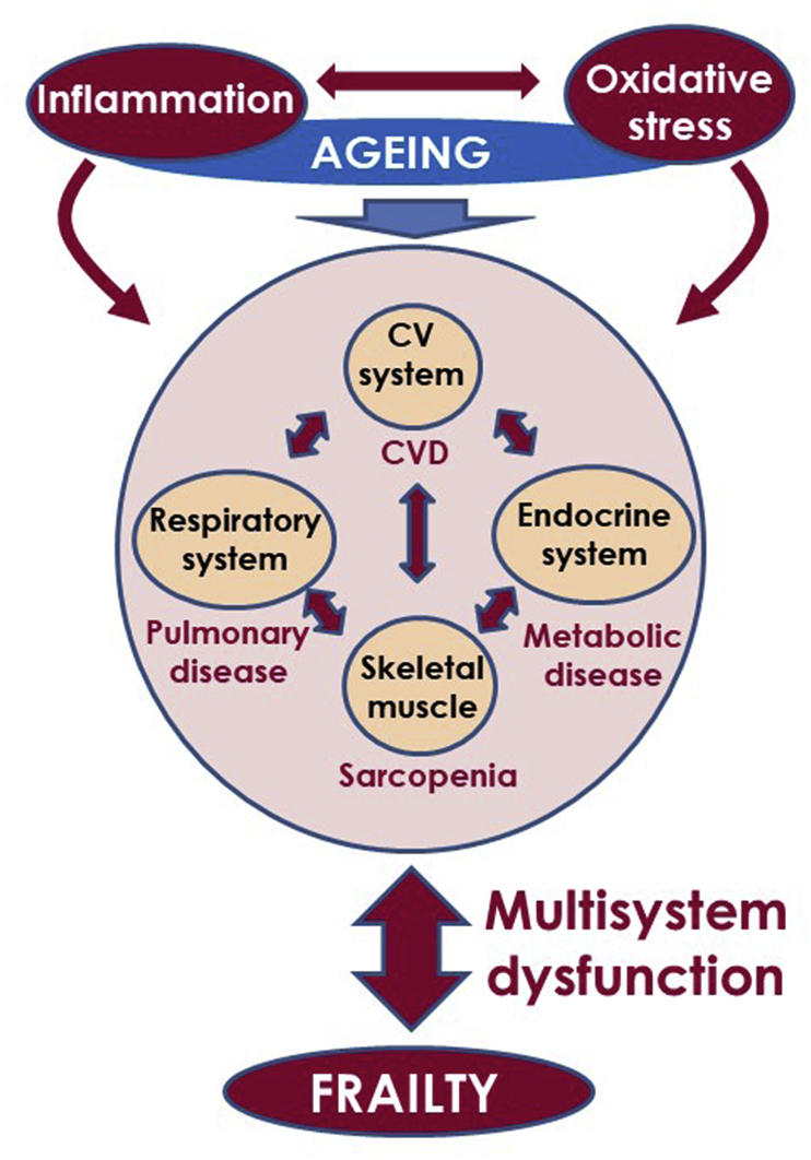 Fig. 4