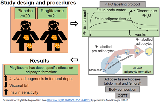 graphic file with name nihms-1634423-f0001.jpg