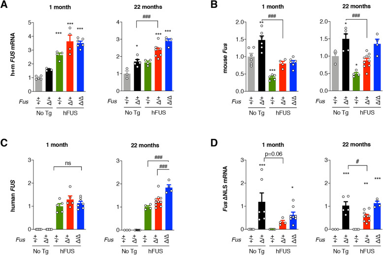 Wild-type FUS corrects ALS-like disease induced by cytoplasmic mutant ...