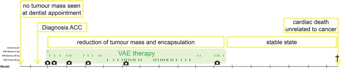 Figure 2