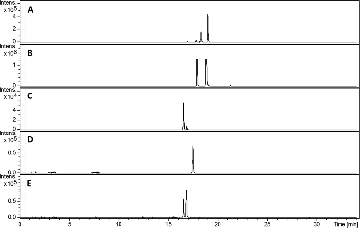 Fig. 5