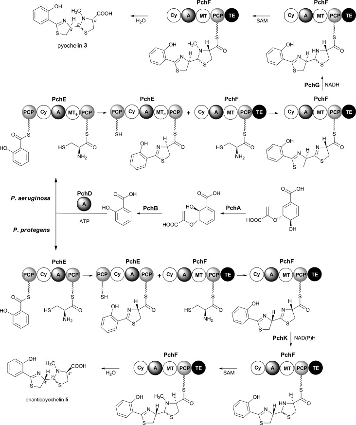 Fig. 2