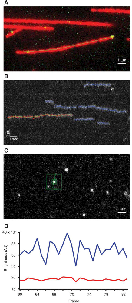 FIGURE 1.