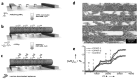 Figure 21