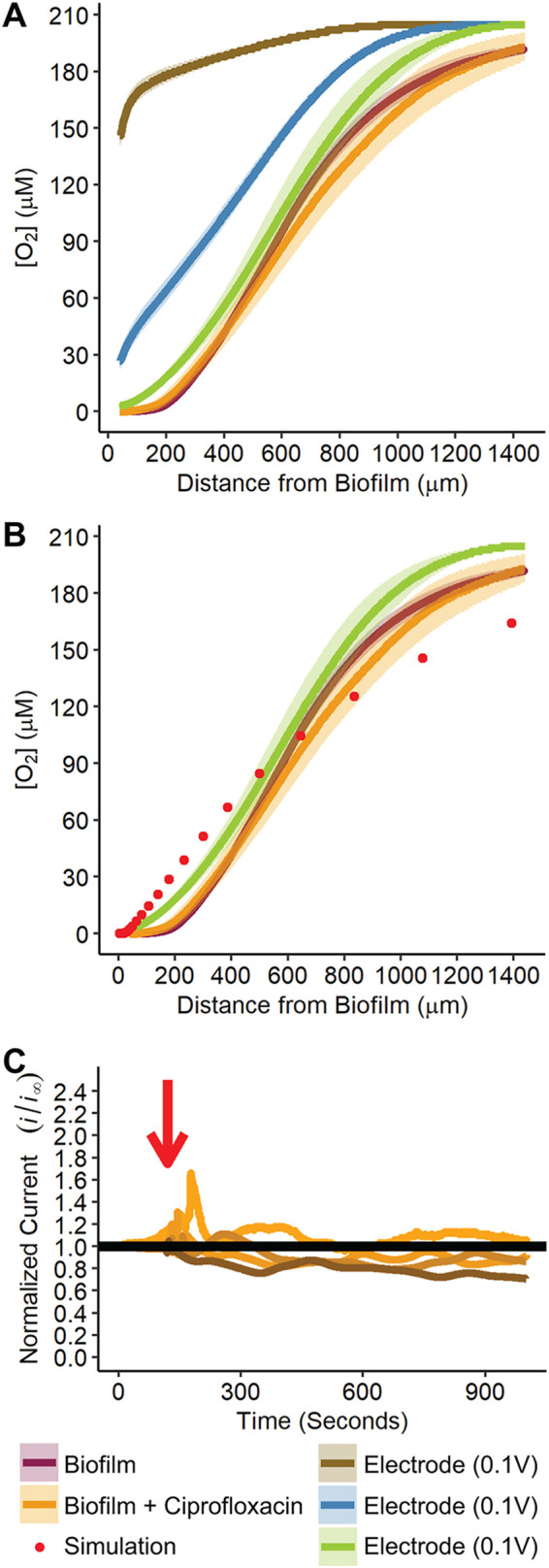 FIG 2