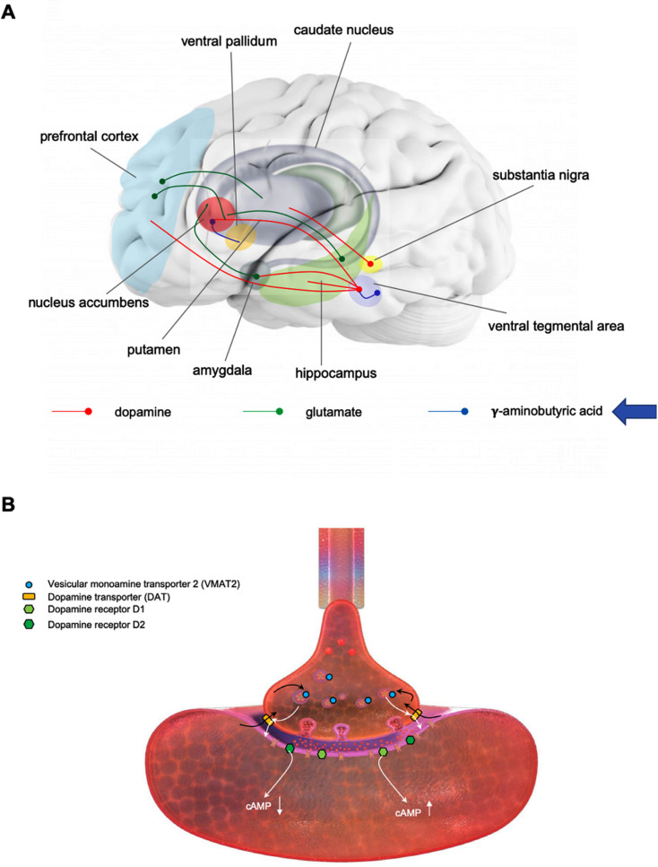 Fig. (2)