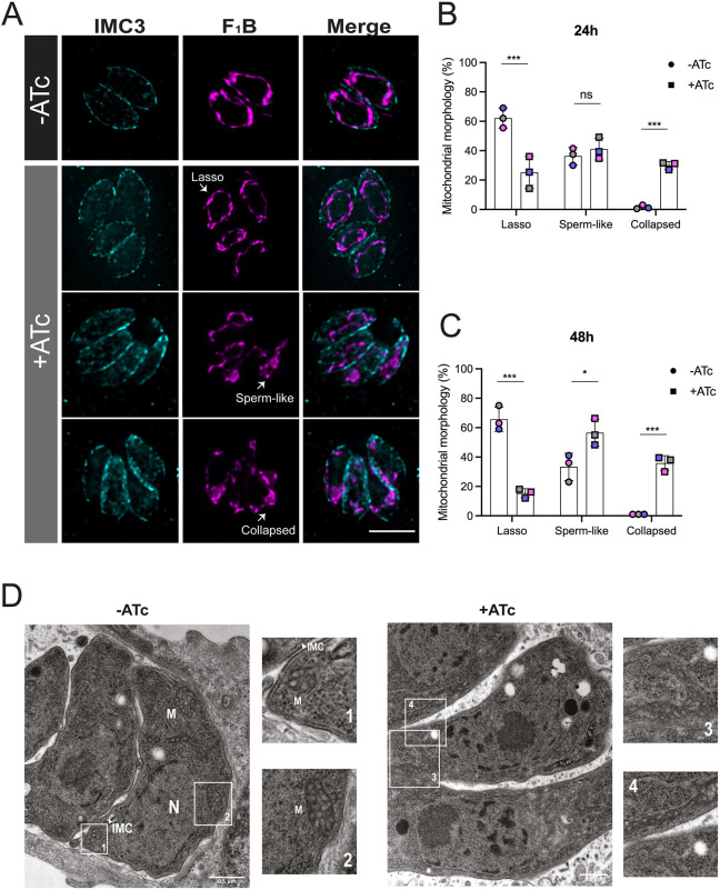 Fig. 4.