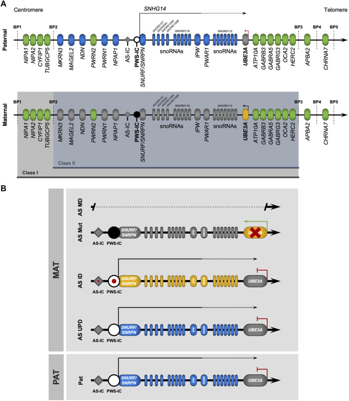 FIGURE 2