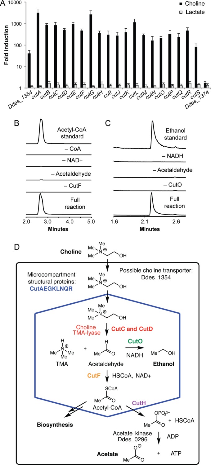 FIG 2 