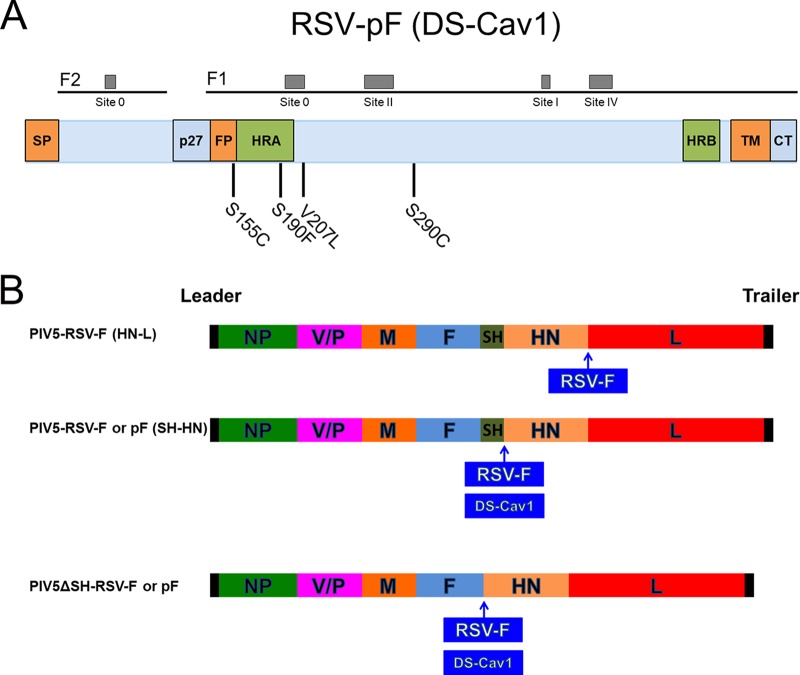 FIG 1