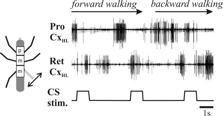 Figure 7.