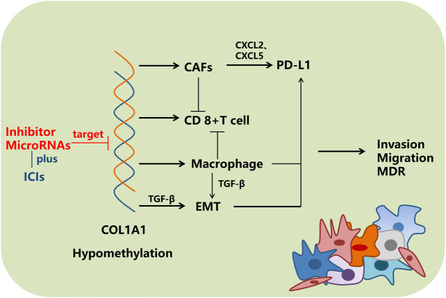 FIGURE 10