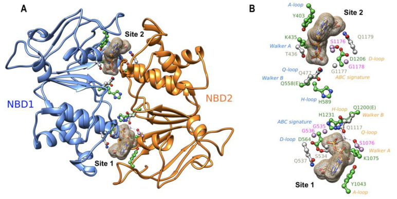 Figure 2