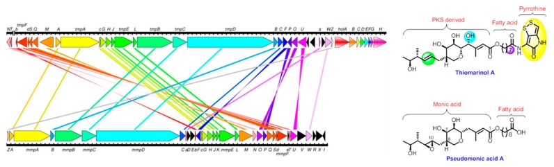 Figure 43