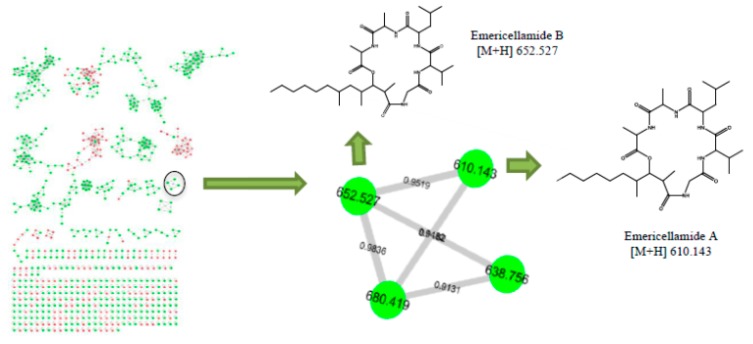 Figure 32