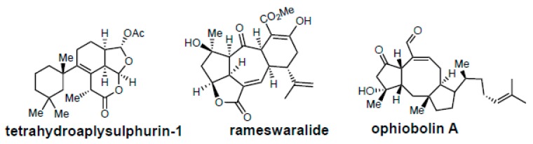 Figure 46