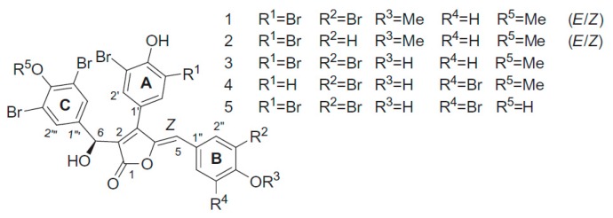 Figure 29