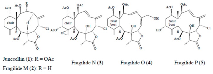 Figure 36