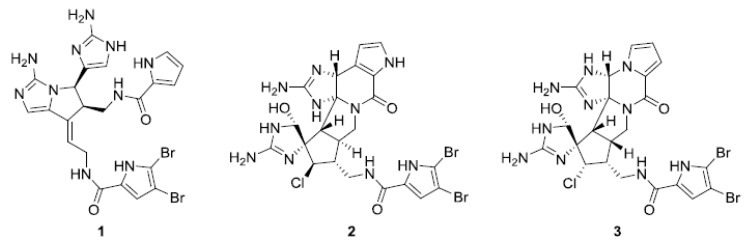 Figure 34