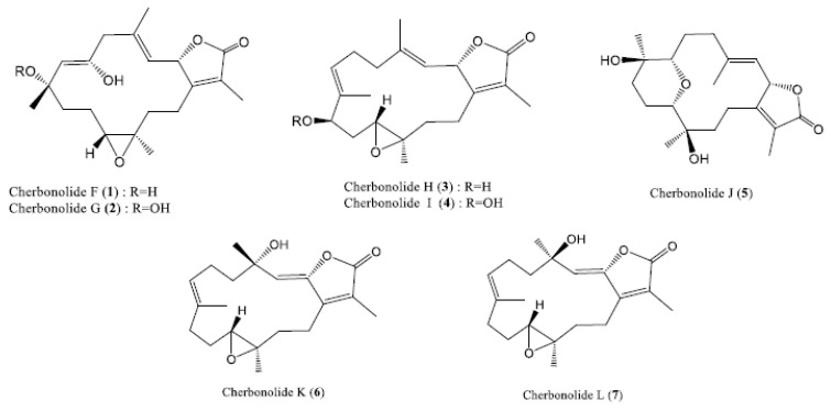 Figure 31