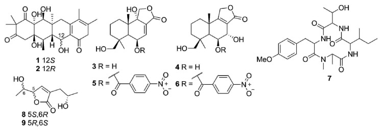 Figure 27