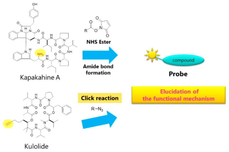 Figure 51