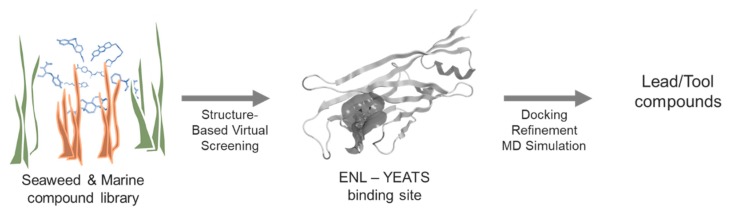 Figure 40