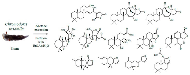 Figure 15