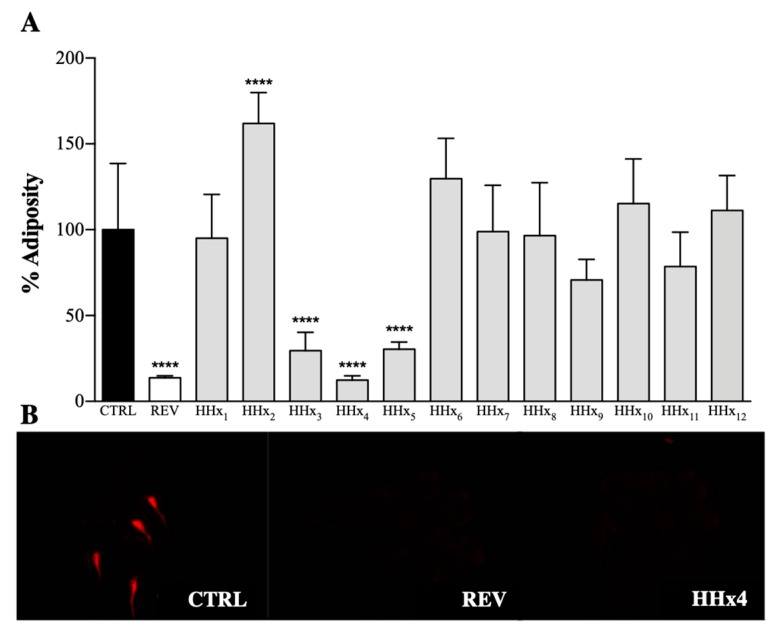 Figure 41