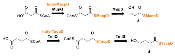 Figure 45