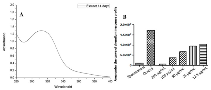 Figure 23