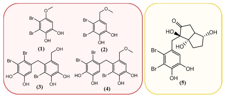 Figure 30