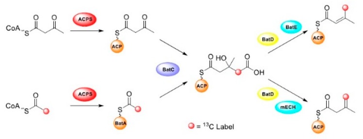 Scheme 1