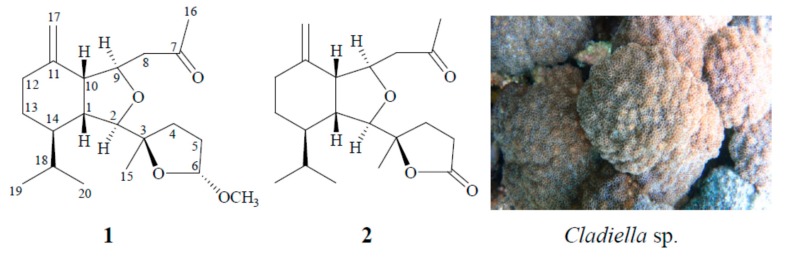 Figure 35