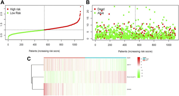 FIGURE 4