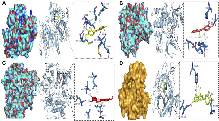 FIGURE 10