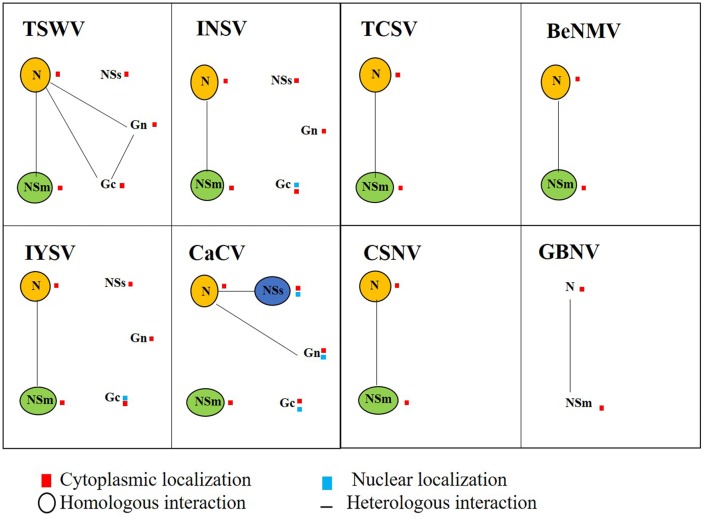 FIGURE 10