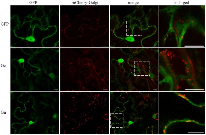 FIGURE 3