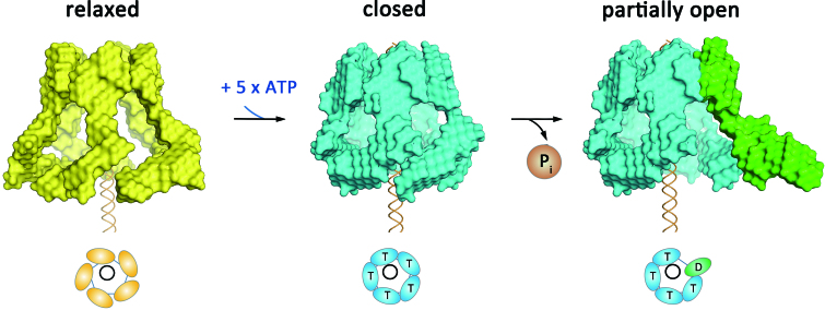 Figure 5.