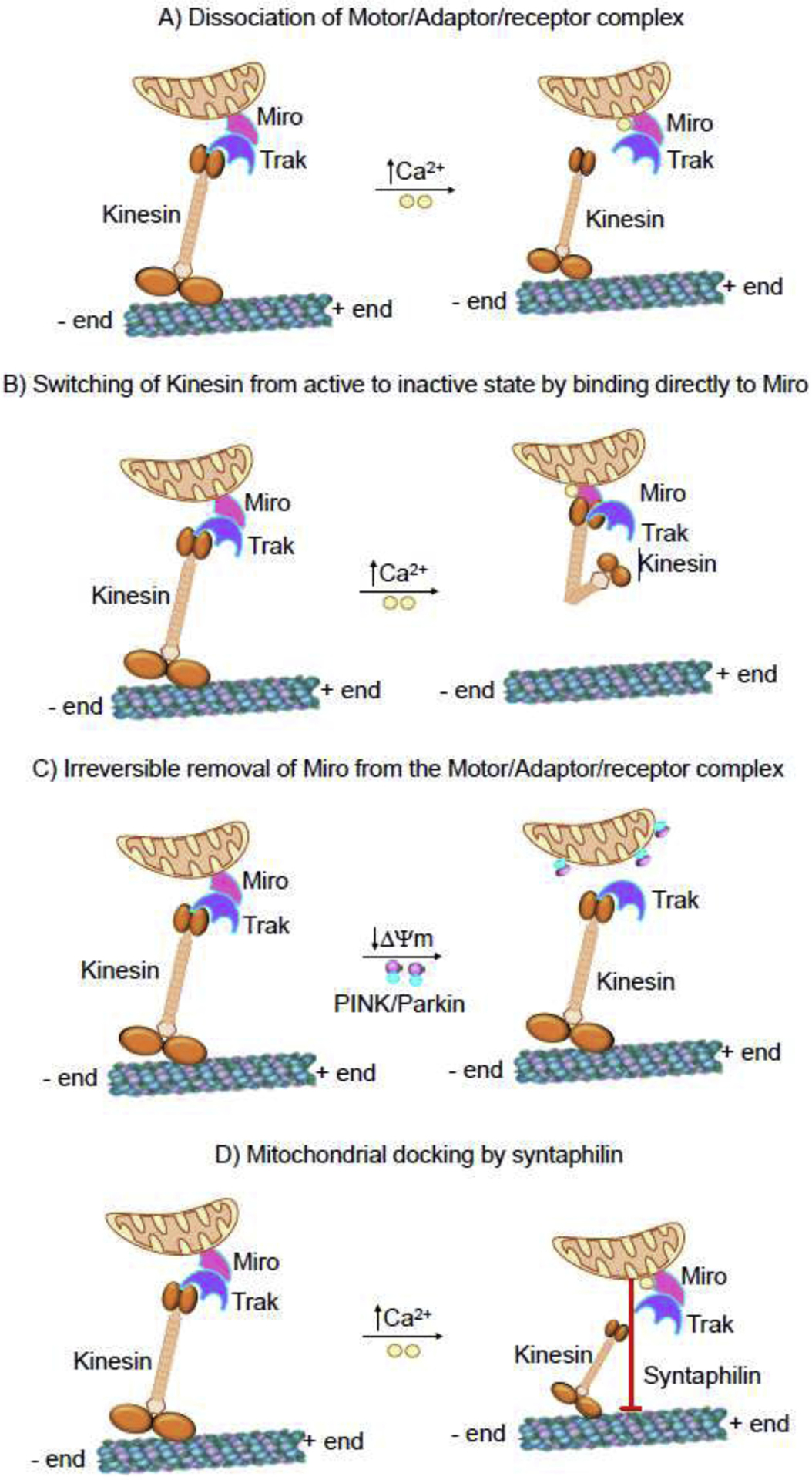 Fig. 2.