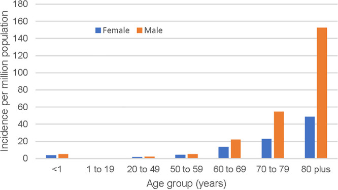 FIG 1